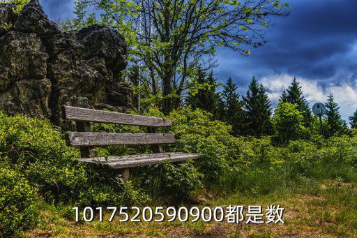 1017520590900都是數(shù)
