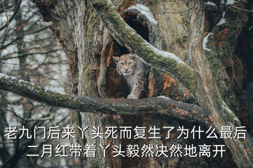 二爺和丫頭，老九門后來丫頭死而復(fù)生了為什么最后二月紅帶著丫頭毅然決然地離開