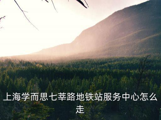 上海學而思，上海學而思七莘路地鐵站服務中心怎么走