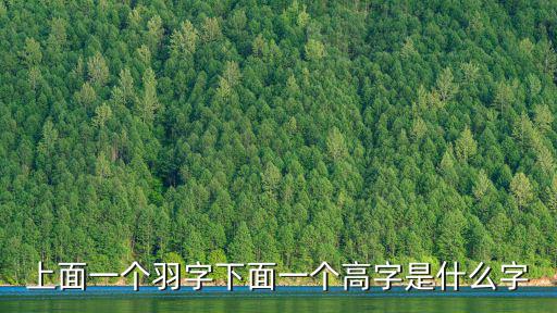 一個羽一個高，一個羽一個高念什么