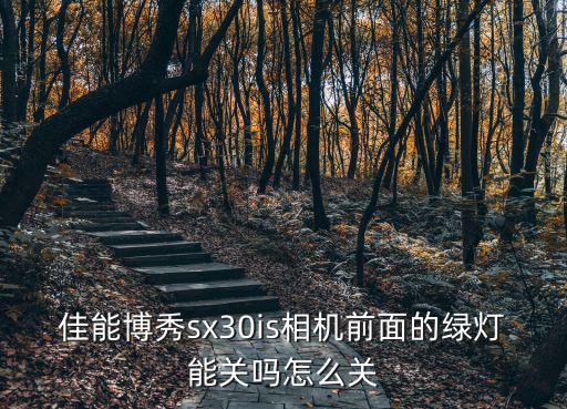 佳能博秀sx30is相機前面的綠燈能關嗎怎么關