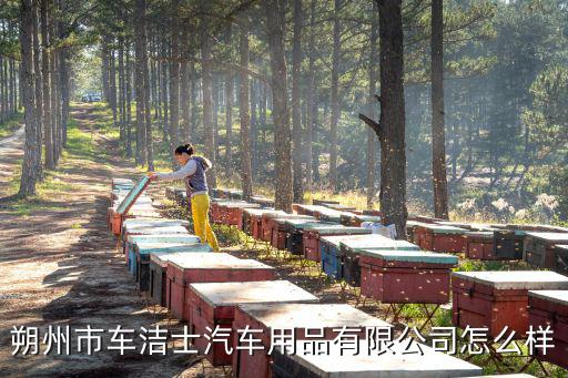 朔州市車潔士汽車用品有限公司怎么樣