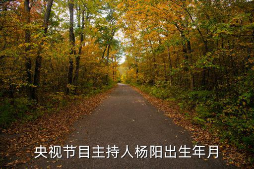 央視節(jié)目主持人楊陽出生年月