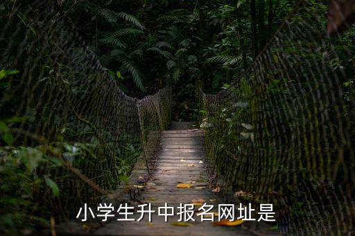 小學生升中報名網址是