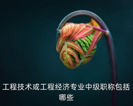 工程技術或工程經濟專業中級職稱包括哪些