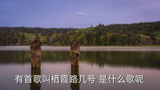 有首歌叫棲霞路幾號 是什么歌呢