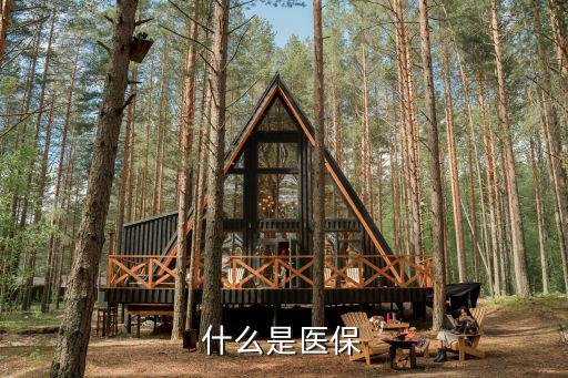 什么是醫(yī)保