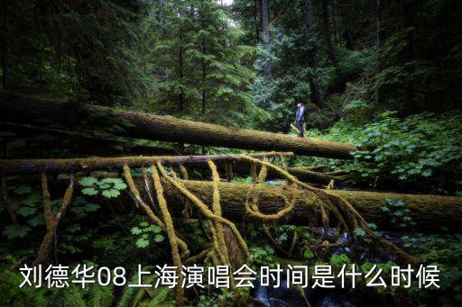 劉德華08上海演唱會時間是什么時候