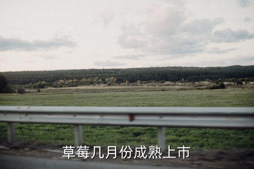 草莓幾月份成熟上市