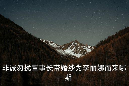 非誠勿擾董事長帶婚紗為李麗娜而來哪一期