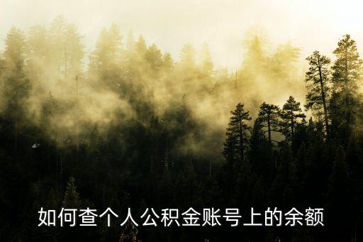 公積金怎么查余額，在網上怎樣查看自己的公積金余額