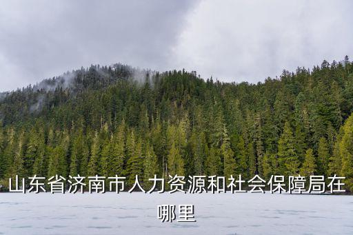 山東省濟南市人力資源和社會保障局在哪里