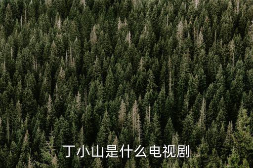丁小山是什么電視劇