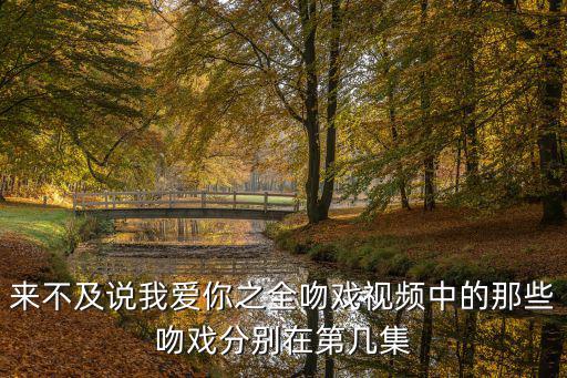 來(lái)不及說(shuō)我愛(ài)你之全吻戲視頻中的那些吻戲分別在第幾集