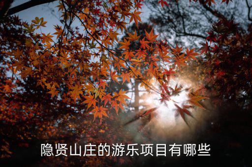 隱賢山莊的游樂項目有哪些
