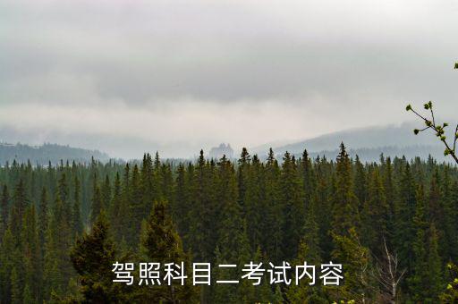 駕照科目二考試內(nèi)容
