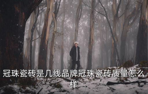 冠珠瓷磚是幾線品牌冠珠瓷磚質(zhì)量怎么樣