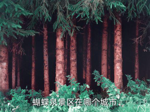 蝴蝶泉景區在哪個城市