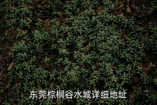 東莞棕櫚谷水城詳細地址