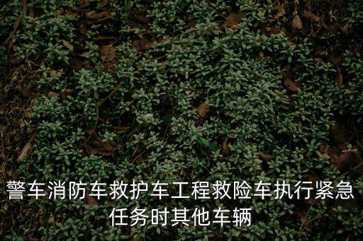 警車消防車救護車工程救險車執行緊急任務時其他車輛