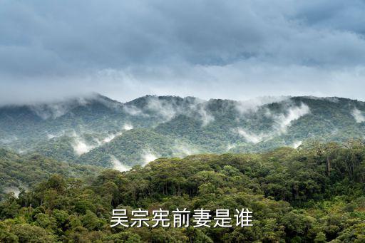 吳宗憲前妻是誰