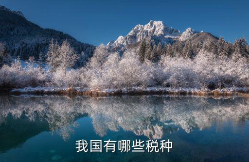 我國(guó)有哪些稅種