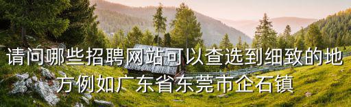 請問哪些招聘網站可以查選到細致的地方例如廣東省東莞市企石鎮