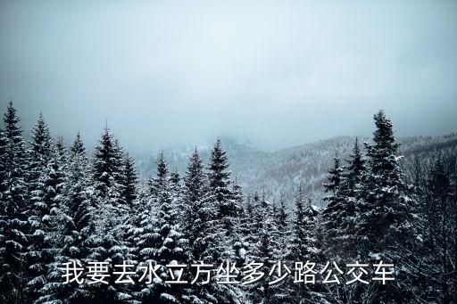 我要去水立方坐多少路公交車