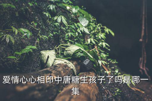 田心一，謎語田心一片磁針石謎底解謎