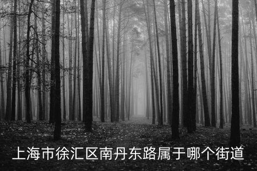 上海市徐匯區(qū)南丹東路屬于哪個街道