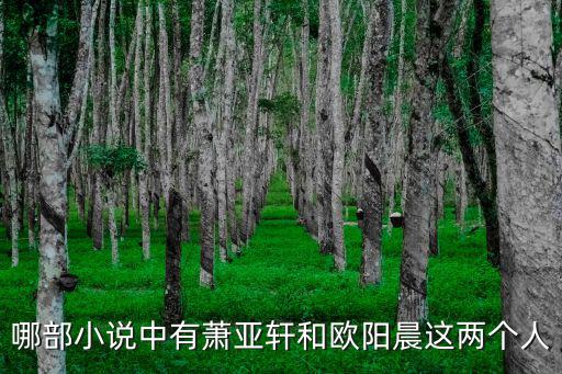哪部小說中有蕭亞軒和歐陽晨這兩個人