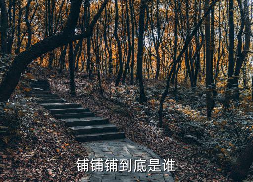 鋪鋪鋪到底是誰