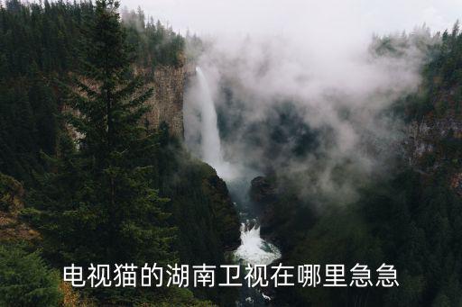 電視貓的湖南衛視在哪里急急