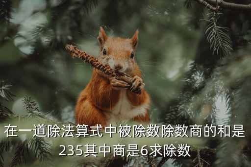 在一道除法算式中被除數除數商的和是235其中商是6求除數