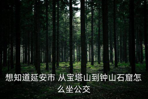 想知道延安市 從寶塔山到鐘山石窟怎么坐公交