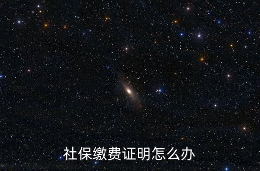社保繳費證明怎么辦