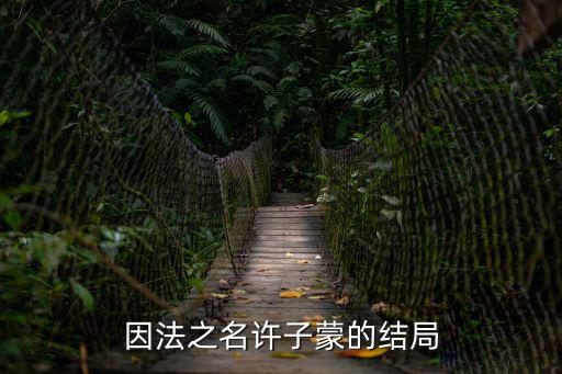 因法之名許子蒙的結局