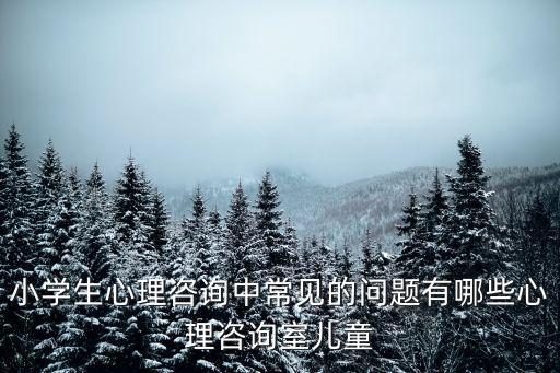 小學(xué)生心理咨詢中常見的問題有哪些心理咨詢室兒童