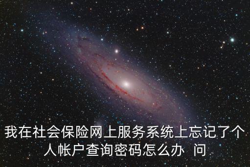 我在社會保險網上服務系統上忘記了個人帳戶查詢密碼怎么辦  問