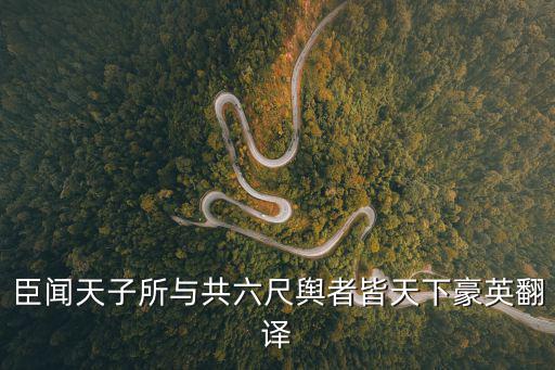 臣聞天子所與共六尺輿者皆天下豪英翻譯