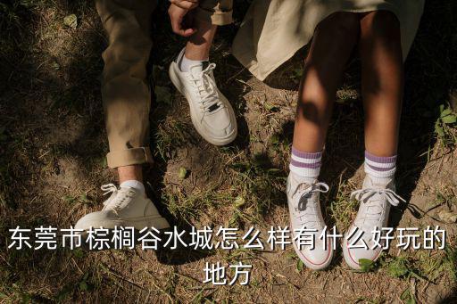東莞市棕櫚谷水城怎么樣有什么好玩的地方