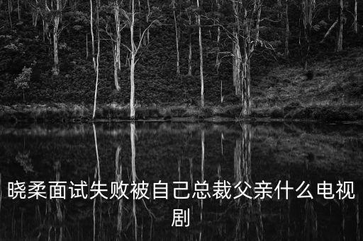 曉柔面試失敗被自己總裁父親什么電視劇