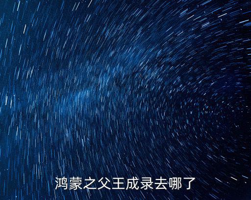 鴻蒙之父王成錄去哪了