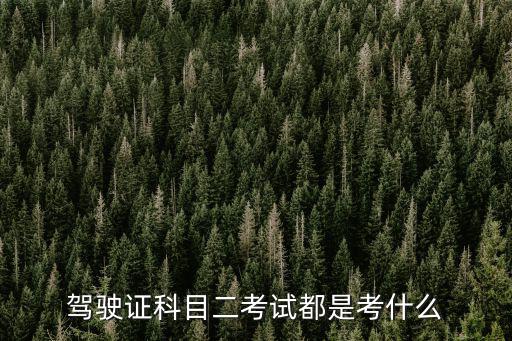 駕駛證科目二考試都是考什么