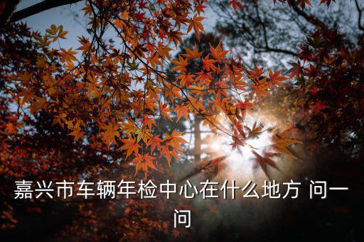嘉興市車輛年檢中心在什么地方 問一問