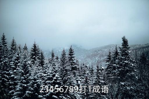 23456789打1成語(yǔ)