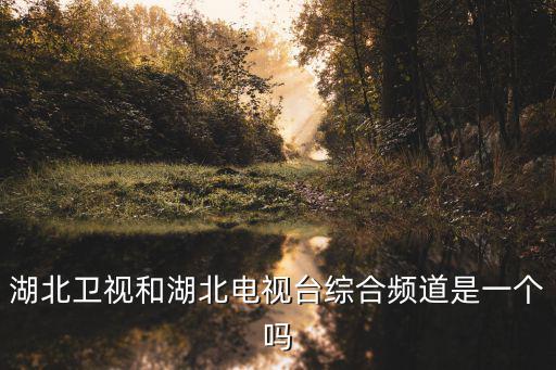 湖北電視臺綜合頻道，湖北電視臺綜合頻道節目表