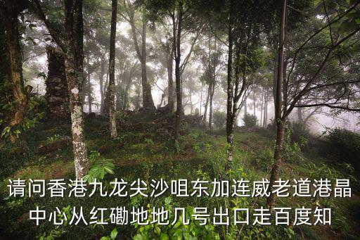 加連威老道，加連威老道51號1樓 點去
