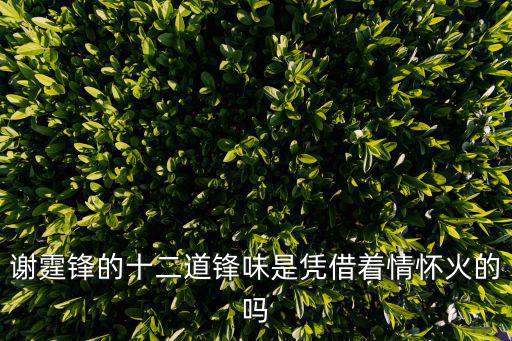 謝霆鋒的十二道鋒味是憑借著情懷火的嗎