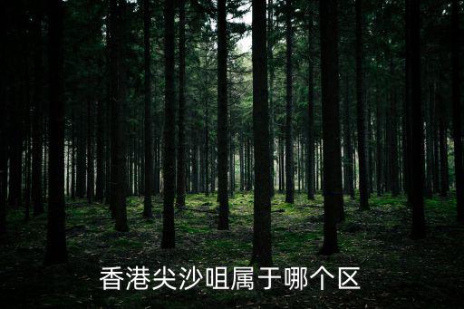 香港尖沙咀屬于哪個(gè)區(qū)